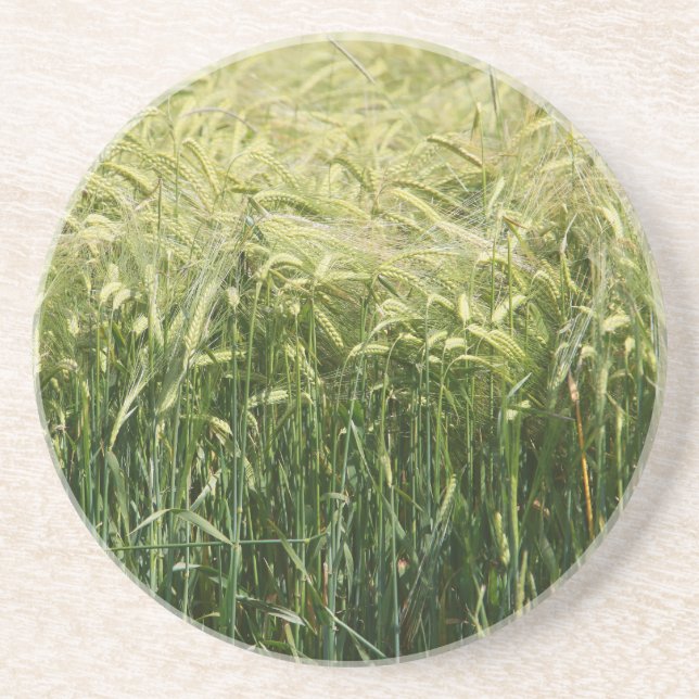 Wheat - Beautiful! Sandstein Untersetzer (Vorne)