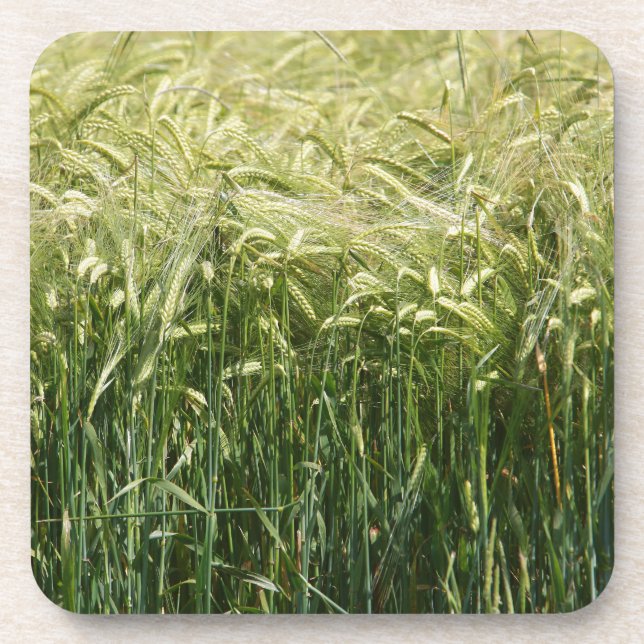 Wheat - Beautiful! Untersetzer (Vorderseite)