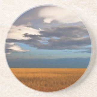 Wheat Field Fine Oil Painting Drink Coaster Sandstein Untersetzer