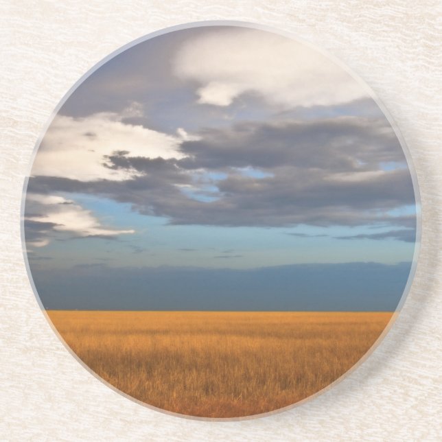 Wheat Field Fine Oil Painting Drink Coaster Sandstein Untersetzer (Vorne)