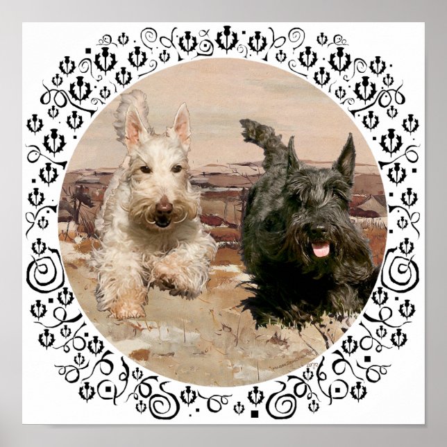 Wheaten & Black Scotning Poster (Vorne)