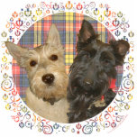 Wheaten & Black Scott auf Tartan Freistehende Fotoskulptur<br><div class="desc">Jedes Design ist auf allen Zazzle-Produkten erhältlich. Blättern Sie auf der Seite dieses Produkts zu diesem Design übertragen und wählen Sie Ihr Lieblingsprodukt aus. Sie können Ihre Auswahl auch mit unserem Texteditor anpassen. Es gibt viele wunderbare Schriftart,  aus denen Sie wählen können. Vielen Dank!</div>