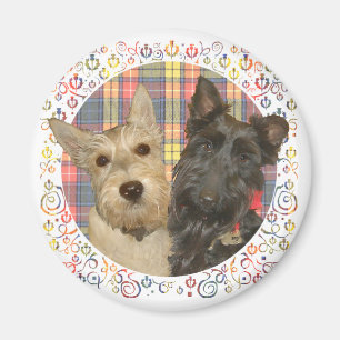 Wheaten & Black Scott auf Tartan Magnet