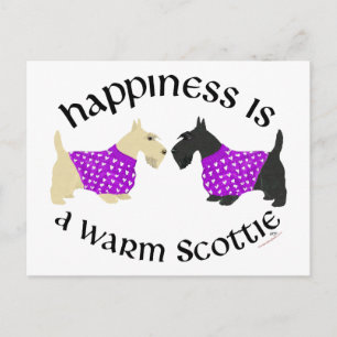 Wheaten & Black Scottie Glück Postkarte