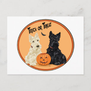 Wheaten & Black Scottish Terrier Halloween Postkarte