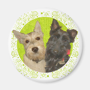 Wheaten & Black Scottish Terrier Magnet