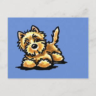 Wheaten Cairn Terrier Postkarte