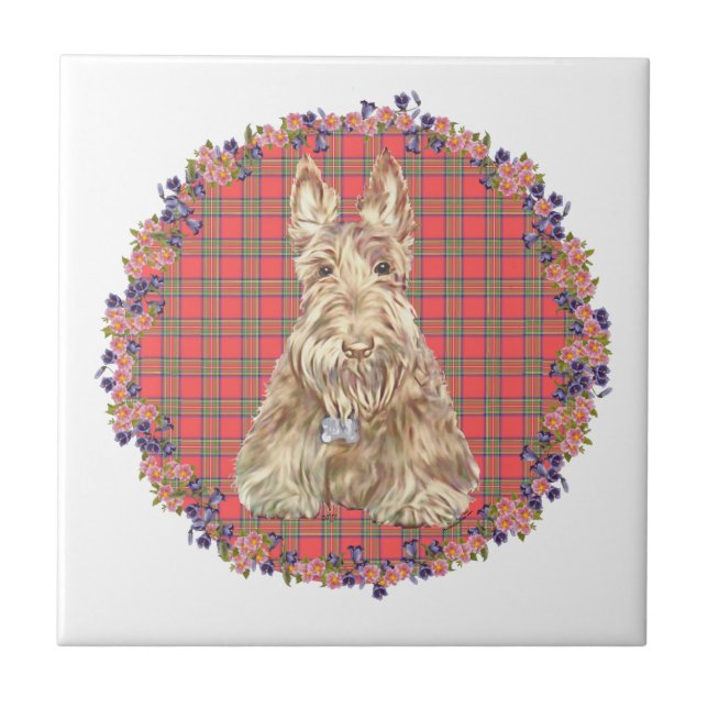 Wheaten Scottie Tartan Fliese (Vorderseite)