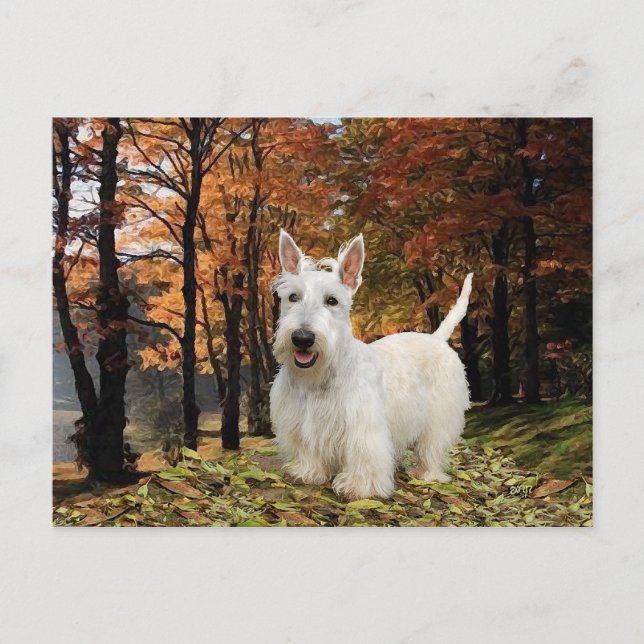 Wheaten Scottish Terrier Autumn Postkarte (Vorderseite)