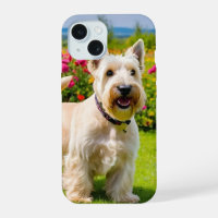 Wheaten Scottish Terrier jouant dans Flowers Grass