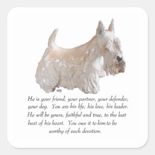 Wheaten Scottish Terrier - MÄNNLICHER Hund Quadratischer Aufkleber