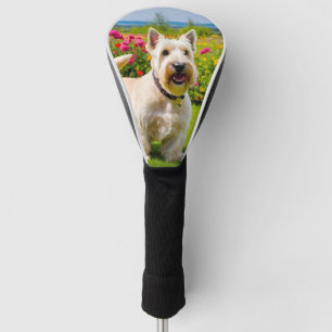 Wheaten Scottish Terrier spielt in Blume Grass Golf Headcover