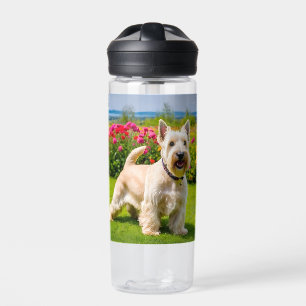 Wheaten Scottish Terrier spielt in Blume Grass Trinkflasche