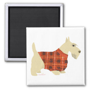 Wheaten Scottish Terrier Sweater Magnet