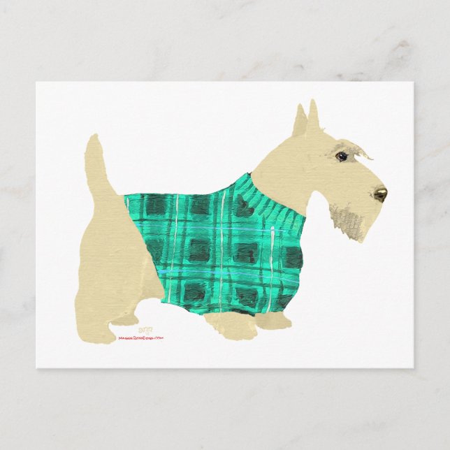 Wheaten Scottish Terrier Sweater Postkarte (Vorderseite)