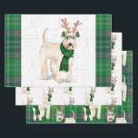 Wheaten Terrier Christmas Dog und Green Kariert Geschenkpapier Set<br><div class="desc">Ein bezaubernder Wheaten Terrier Hund ist mit seinen Geweihten und einem Winterschal für die Urlaubssaison bereit. Dieser niedliche Weihnachtshund ist mit einem Grün und Silber gepaart,  das auf diesem Set der Geschenkpackung für den Hundefreund kariert ist.</div>
