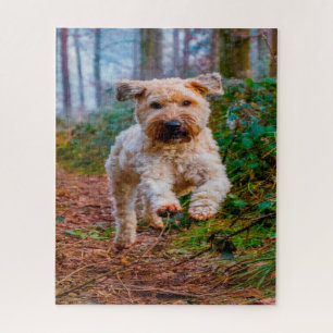 Wheaten Terrier Dog Jigsaws.