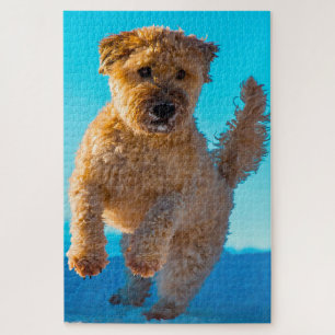 Wheaten Terrier Dog Jigsaws.