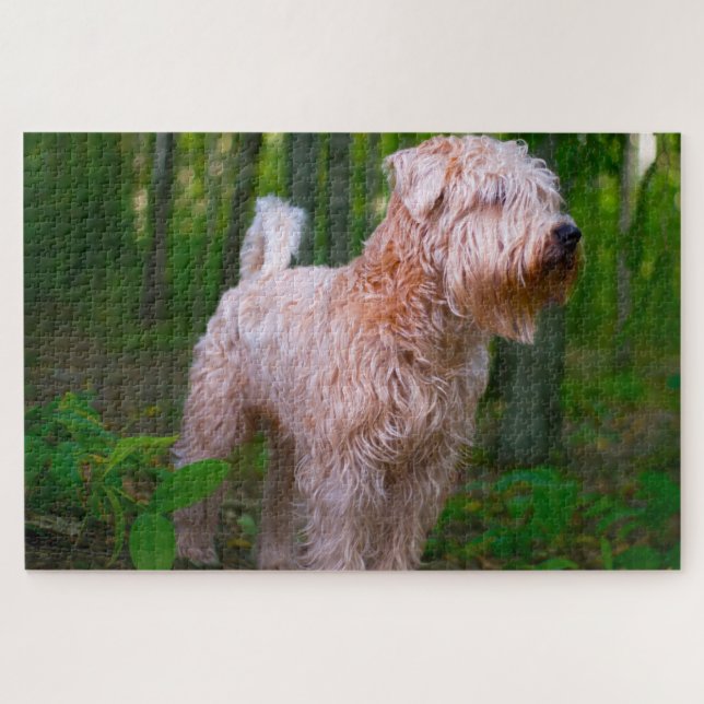 Wheaten Terrier Dog Jigsaws. (Horizontal)