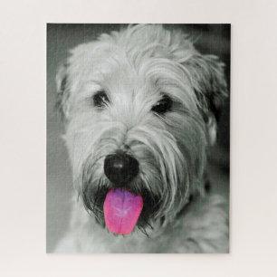 Wheaten Terrier Dog Jigsaws.