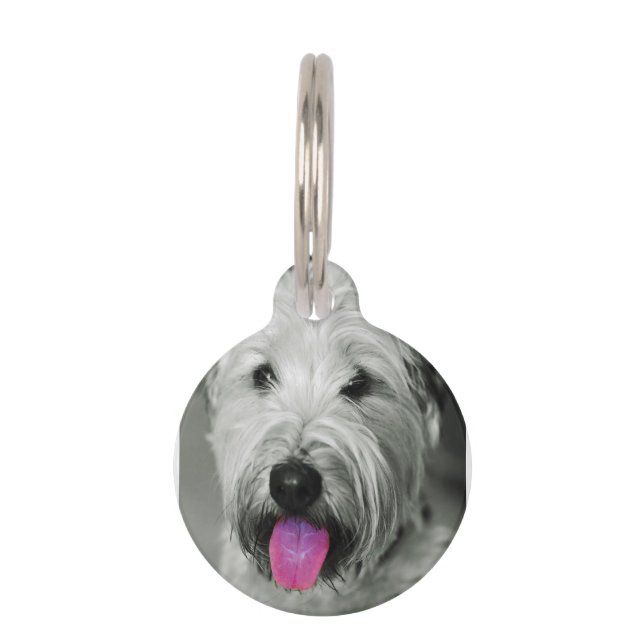 Wheaten Terrier Haustiermarke (Vorderseite)