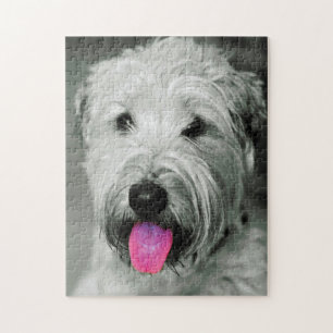 Wheaten Terrier Hund Puzzles.