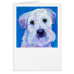 Wheaten Terrier Karte "Baileys" -