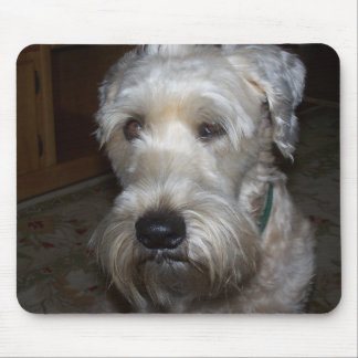 Wheaten Terrier Mousepad