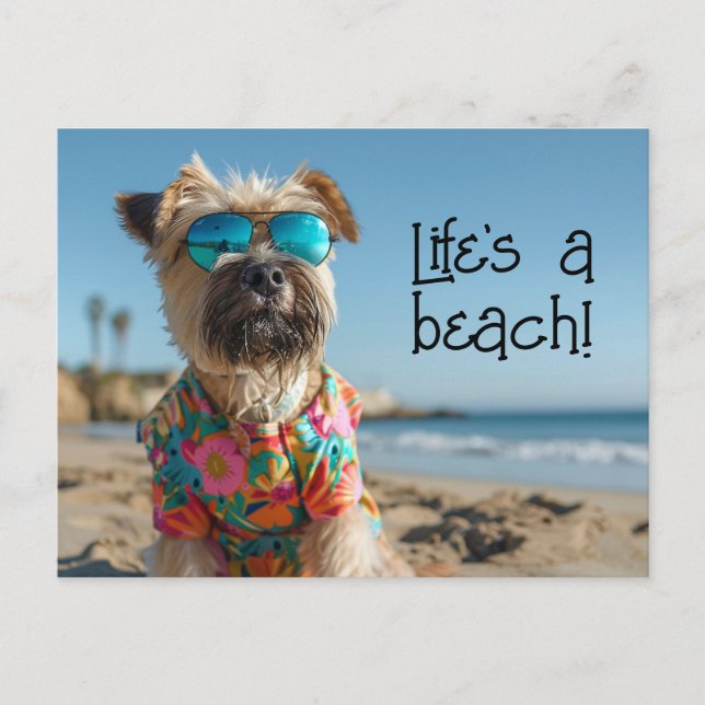 Wheaten Terrier Puppy mit Sonnenbrille Postkarte (Vorderseite)