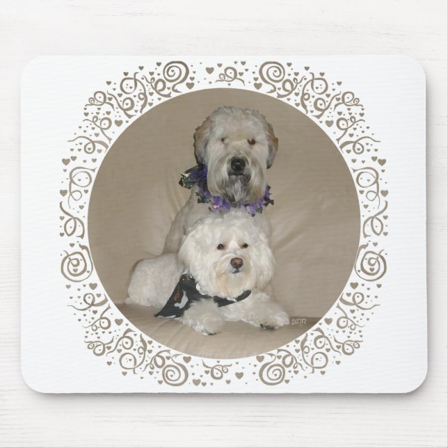 Wheaten Terrier und Havanese Mousepad (Vorne)