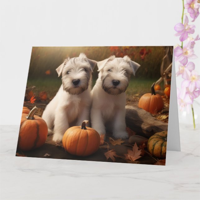 Wheaten Terrier Welpe Autumn Delight Pumpkin Karte (Orchidee)