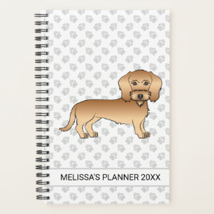 Wheaten Wire Haired Dachshund Cartoon Hund und Tex Planer
