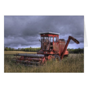 Wheatfields de chute