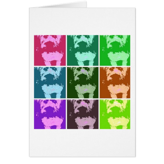 Wheaton Terrier (Vorne)