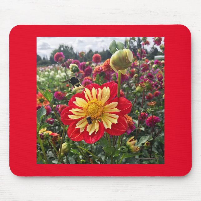 Wheels Dahlia Mousepad (Vorne)