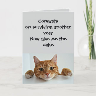 When the Cat Cares.. Just a Little –Funny Birthday Karte