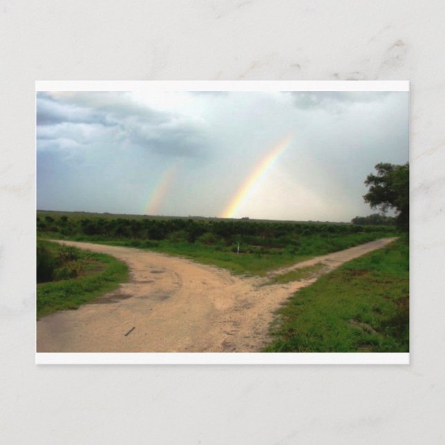 Which way now postkarte (Vorderseite)