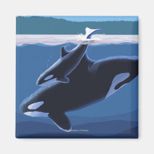 Whidbey Insel, WashingtonOrca und Kalb Magnet