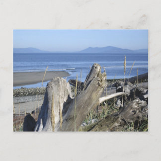 Whidbey Island 4 Postkarte