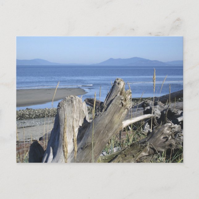 Whidbey Island 4 Postkarte (Vorderseite)