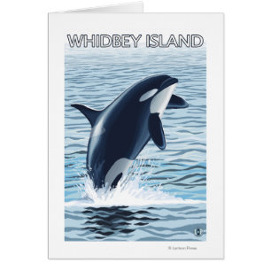 Whidbey Island, Washington Orca Jumping