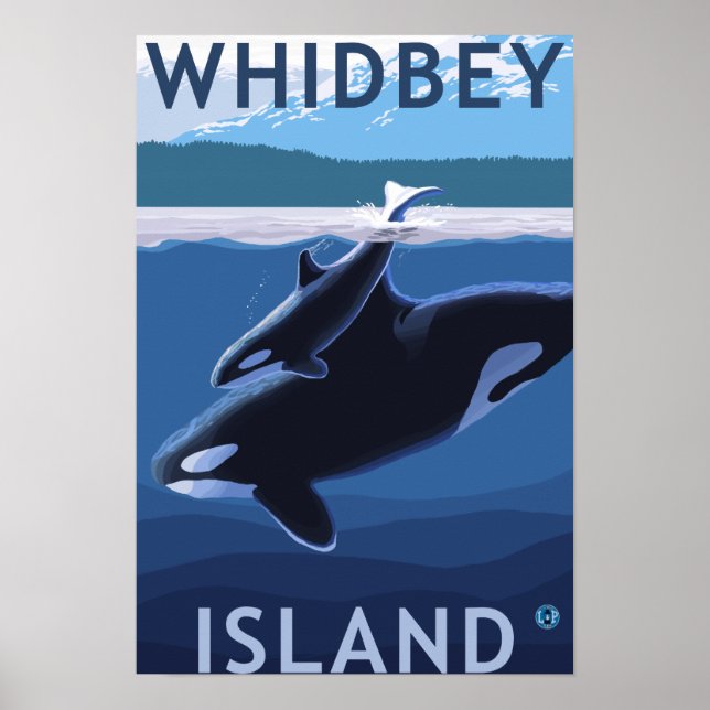 Whidbey Island, Washington Orca und Calf Poster (Vorne)
