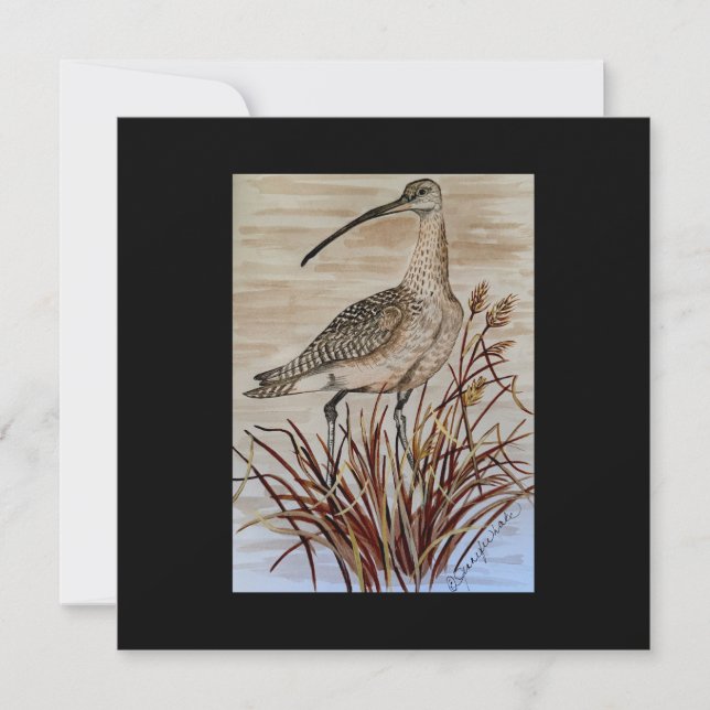 Whimbrel Puzzle (Vorderseite)