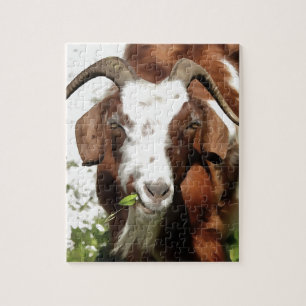 Whimsical Artistic Portrait of a Goat Grazing