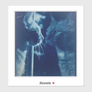 whimsical Blue Bubba Cat Fotografie Aufkleber