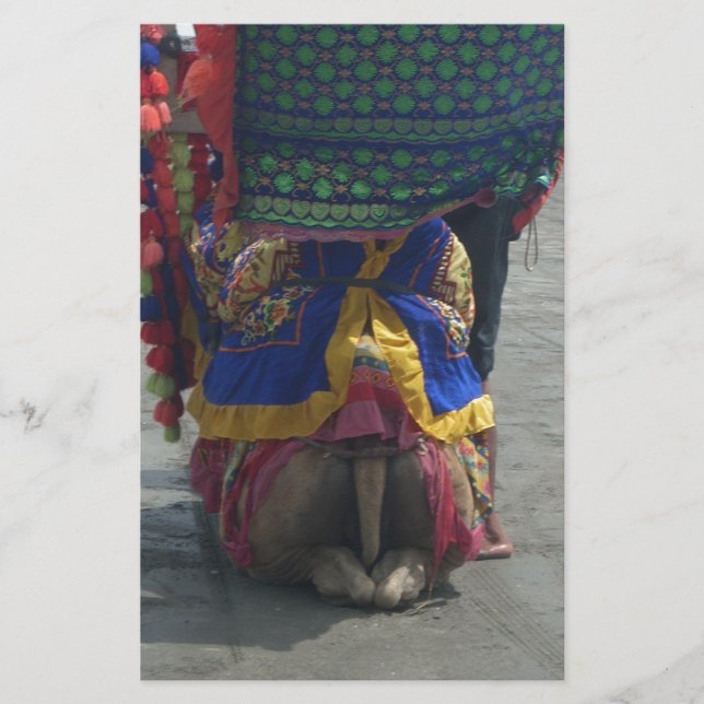 Whimsical Camel Art Print/Graphic Briefpapier (Vorderseite)