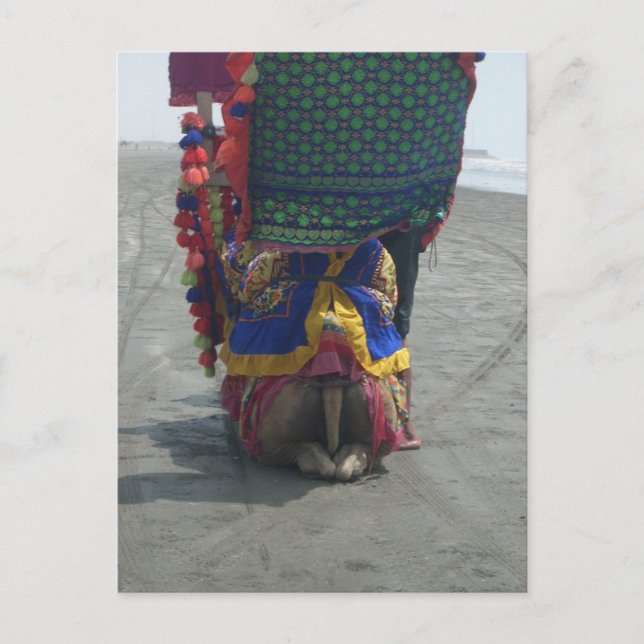 Whimsical Camel Art Print/Graphic Postkarte (Vorderseite)