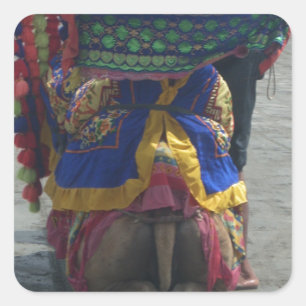 Whimsical Camel Art Print/Graphic Quadratischer Aufkleber