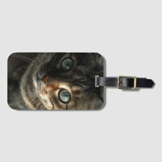 Whimsical Graue Katzenporträt-Wandkunst Gepäckanhänger