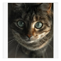 Whimsical Gray Cat Portrait Wall Art